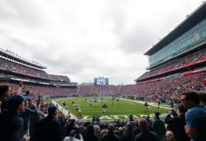 Chicago Bears facing Baltimore Ravens in a football game