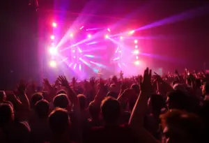 Crowd enjoying DJ Pauly D's live performance at a concert.
